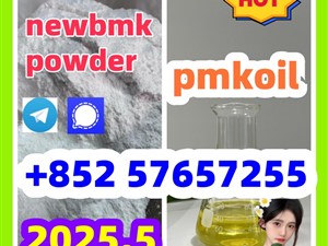 5449-12-7 bmk pmk