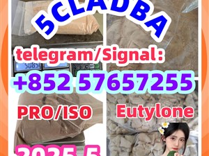 109555-87-5 5CLADBA Eutylone 802855-66-9 407-97-6