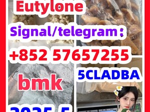 109555-87-5 5CLADBA Eutylone 802855-66-9 407-97-6