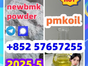 5449-12-7 bmk pmk