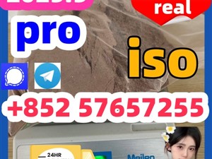 119276-01-6 protonitazene 14188-81-9 2732926-24-6 iso