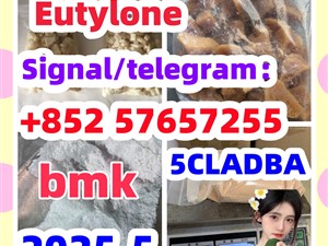 109555-87-5 5CLADBA Eutylone 802855-66-9 407-97-6