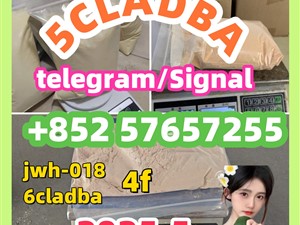 109555-87-5 5CLADBA Eutylone 802855-66-9 407-97-6