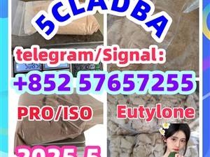 109555-87-5 5CLADBA Eutylone 802855-66-9 407-97-6