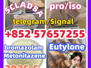109555-87-5 5CLADBA Eutylone 802855-66-9 407-97-6