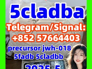5cladba Best Cannabinoid 5cladba Precursor Raw 5cl-adb-a Material In Stock +852 57664403