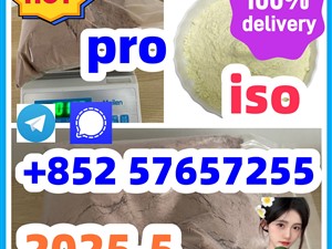 119276-01-6 protonitazene 14188-81-9 2732926-24-6 iso