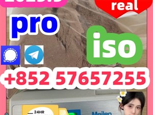 119276-01-6 protonitazene 14188-81-9 2732926-24-6 iso