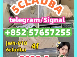 109555-87-5 5CLADBA Eutylone 802855-66-9 407-97-6