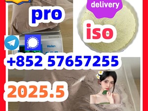119276-01-6 protonitazene 14188-81-9 2732926-24-6 iso
