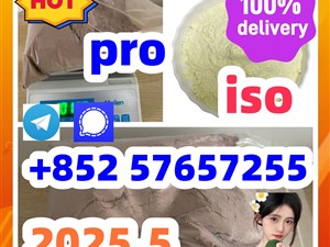 119276-01-6 protonitazene 14188-81-9 2732926-24-6 iso
