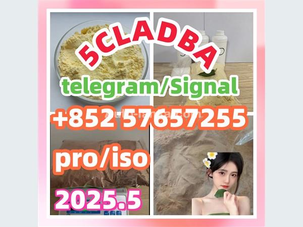109555-87-5 5CLADBA Eutylone 802855-66-9   407-97-6