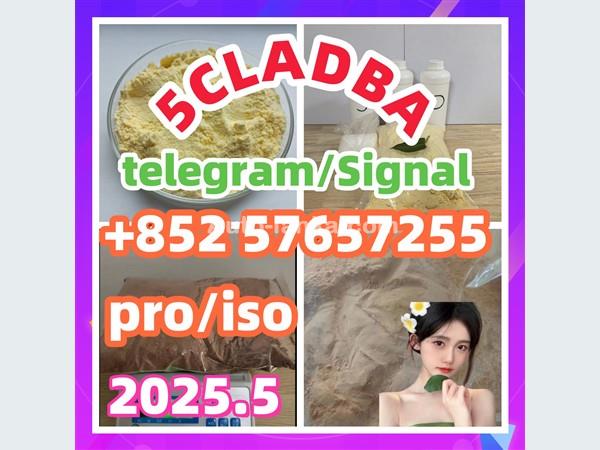 109555-87-5 5CLADBA Eutylone 802855-66-9   407-97-6