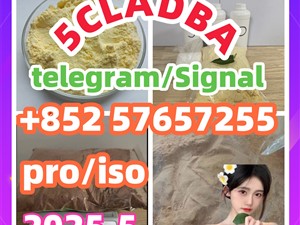 109555-87-5 5CLADBA Eutylone 802855-66-9 407-97-6
