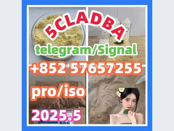 109555-87-5 5CLADBA Eutylone 802855-66-9   407-97-6