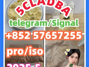 109555-87-5 5CLADBA Eutylone 802855-66-9 407-97-6