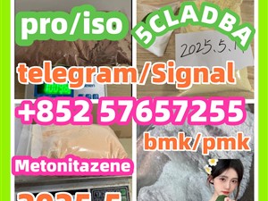 109555-87-5 5CLADBA Eutylone 802855-66-9 407-97-6