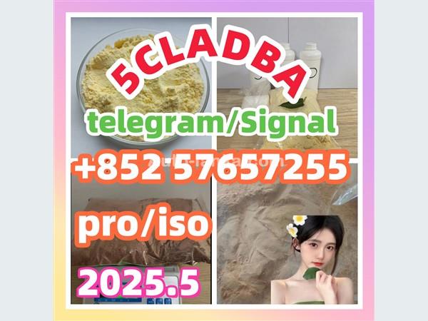 109555-87-5 5CLADBA Eutylone 802855-66-9   407-97-6