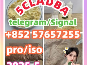 109555-87-5 5CLADBA Eutylone 802855-66-9 407-97-6