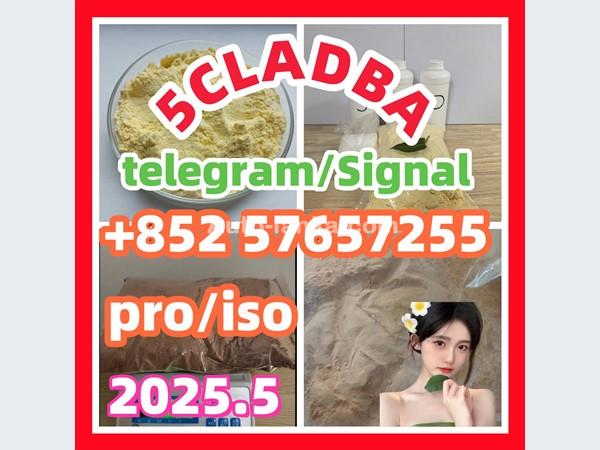 109555-87-5 5CLADBA Eutylone 802855-66-9   407-97-6
