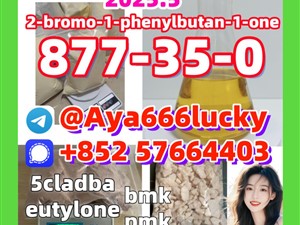 877-35-0 2-bromo-1-phenylbutan-1-one alprazolam 28981-97-7
