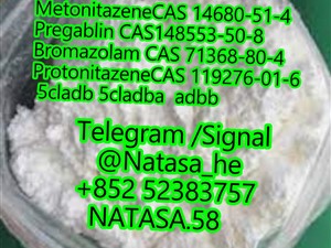 Protonitazene CAS 119276-01-6