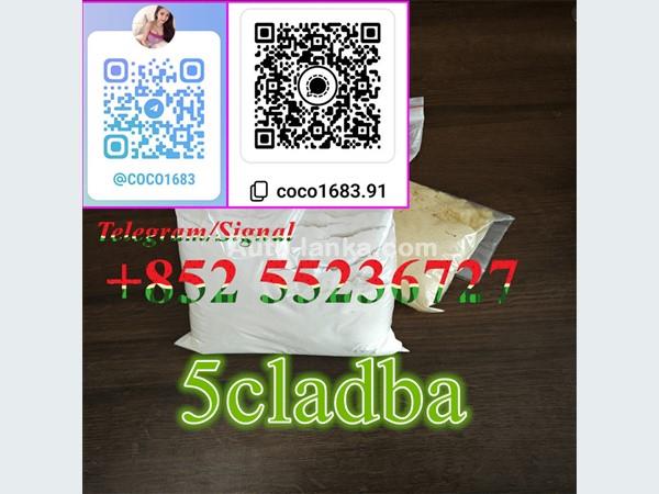 Selling 5cladba 5cladb ADBB EU
