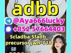 5cladba 5cladb 5CL-ADB free sample vendor on sale