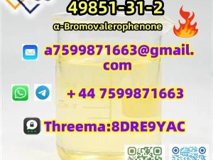 New BMK/PMK Powder，CAS NO:49851-31-2,1451-82-7