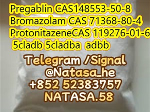 Protonitazene CAS 119276-01-6