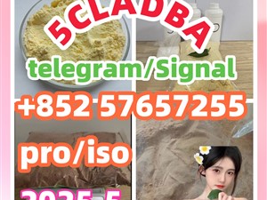 109555-87-5 5CLADBA Eutylone 802855-66-9   407-97-6