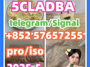 109555-87-5 5CLADBA Eutylone 802855-66-9   407-97-6