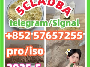 109555-87-5 5CLADBA Eutylone 802855-66-9 407-97-6