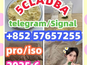 109555-87-5 5CLADBA Eutylone 802855-66-9 407-97-6