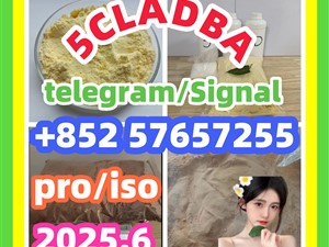109555-87-5 5CLADBA Eutylone 802855-66-9 407-97-6