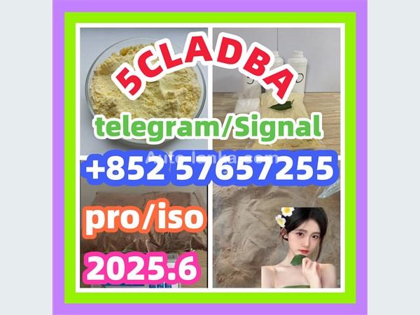 109555-87-5 5CLADBA Eutylone 802855-66-9   407-97-6