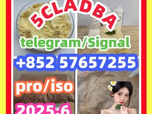 109555-87-5 5CLADBA Eutylone 802855-66-9 407-97-6