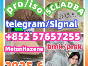 119276-01-6 protonitazene 14188-81-9 2732926-24-6 iso