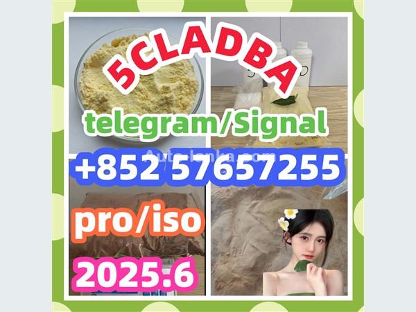 109555-87-5 5CLADBA Eutylone 802855-66-9   407-97-6