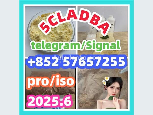 109555-87-5 5CLADBA Eutylone 802855-66-9   407-97-6