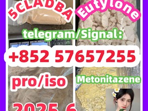 109555-87-5 5CLADBA Eutylone 802855-66-9   407-97-6