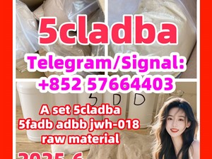 High quality 5CLADBA, 5CL-ADB-A , 5cl, 4FADB, 5cladba main ingredients With best Vendor price!