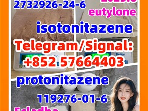 119276-01-6 protonitazene 2732926-24-6 isotonitazene 5cladba 5fadb adbb