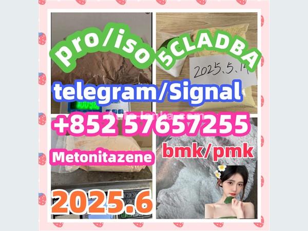 119276-01-6 protonitazene 14188-81-9  2732926-24-6  iso
