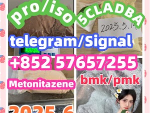 119276-01-6 protonitazene 14188-81-9 2732926-24-6 iso