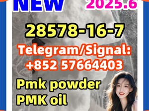 28981-97-7 alprazolam 28578-16-7 ethyl glycidate   5cladba eutylone New Pmk powder