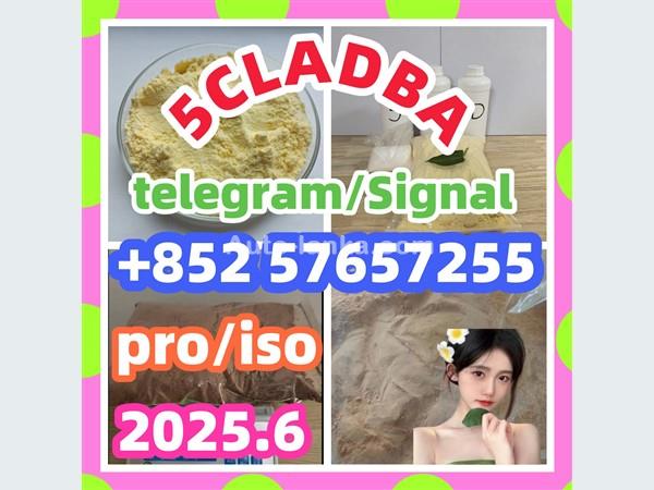 109555-87-5 5CLADBA Eutylone 802855-66-9   407-97-6