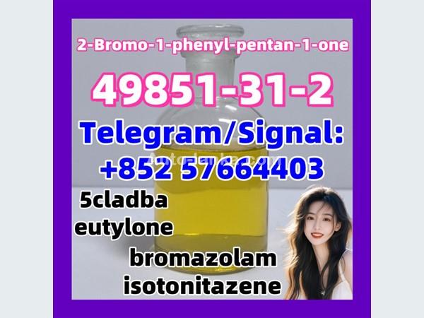 49851-31-2  2-Bromo-1-phenyl-pentan-1-one eutylone 2fdck