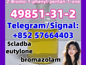 49851-31-2 2-Bromo-1-phenyl-pentan-1-one eutylone 2fdck