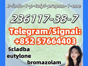 236117-38-7 2-iodo-1-p-tolyl-propan-1-one 119276-01-6 protonitazene 28981-97-7 alprazolam